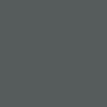 SWF Gloss Dark Grey Perm - Easy Apply RS
