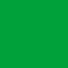 SWF Gloss  Grass Green Perm - Easy Apply RS