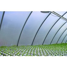 Folia zbrojona PE Planet GETA AGRO 150g, transp 12mx33,2m