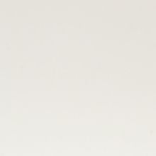 Płyta Placor 100A White                                            12mm 760x3680