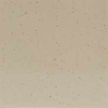 Płyta Placor 700B Grey Sand                                 12mm 760x3680