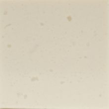 Płyta Placor 300D Cream Stone                         12mm 760x3680