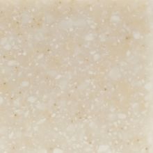 Płyta Placor 310D Beige Stone                            12mm 760x3680